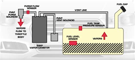 Evap System Vapor Pressure Pa - zestmoms