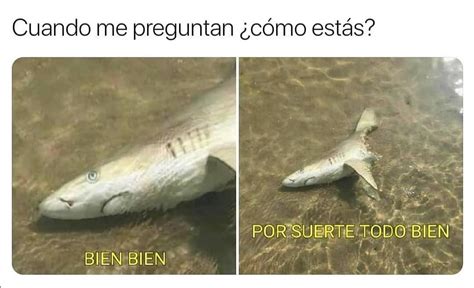 Cuando me preguntan ¿cómo estás? Bien, bien. Por suerte todo bien. - Memes