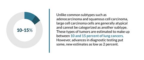 Large Cell Carcinoma | Diagnosis, Prognosis, & Treatment