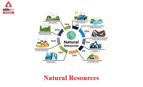 Types of Natural Resources with Examples