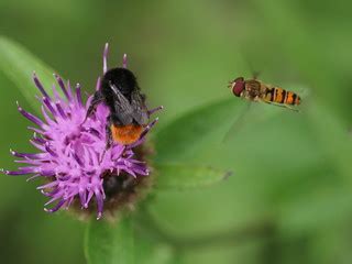 Behind You 3 | Todays walk took in the Trent & Mersey canal … | Flickr