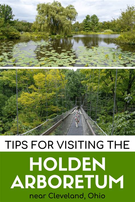 5 Things to Do at the Holden Arboretum near Cleveland, Ohio