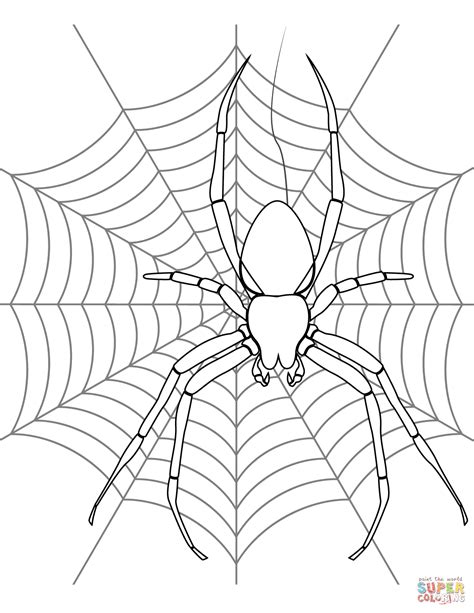 Spider Drawing For Kids at GetDrawings | Free download