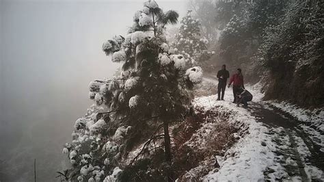 Snowfall in Kasauli - YouTube