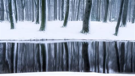 Mastering the Art of Winter Landscape Photography – Seriously Photography