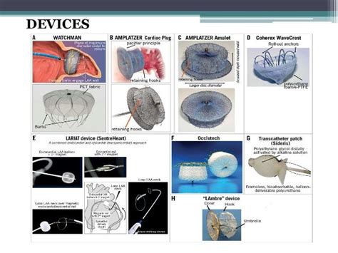 La appendage closure devices,final (2)