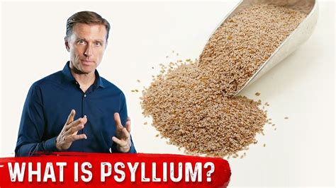 Psyllium Husks, Uses, Dosage and Side Effects | Doctor of chiropractic, Psyllium husk benefits ...