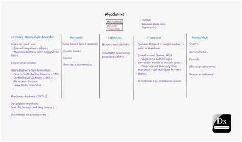 Myoclonus – The Clinical Problem Solvers