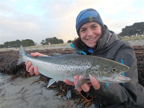 Seatrout fishing in Denmark – Flyfishers.ch