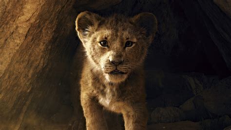 The Lion King, 2019, Simba, 8K, #14 Wallpaper PC Desktop