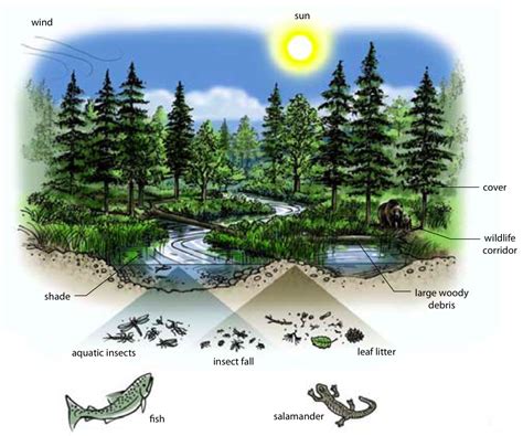 Taking Nature's Pulse: The Status of Biodiversity in British Columbia