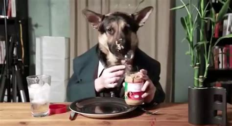 This Suit-Wearing Dog Eating Peanut Butter is Hilarious [VIDEO]