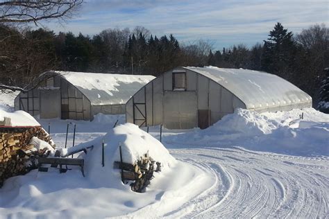 Winter: The Hottest Thing in Farming | Civil Eats