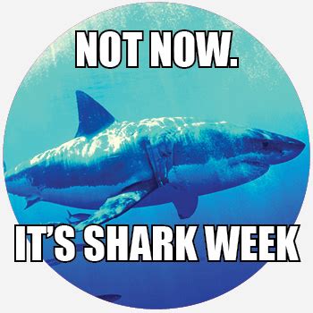 Shark Week Meaning | Pop Culture by Dictionary.com