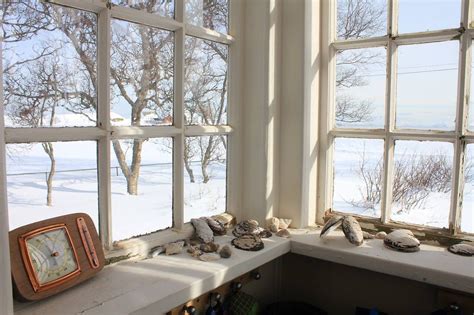 Window view of snow & woods | Windows, Window view, Views