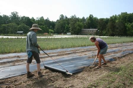 Nolt’s Produce Supplies – Sustainable Market Farming