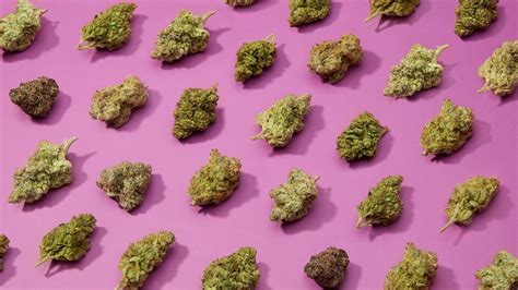 The 7 best indica strains