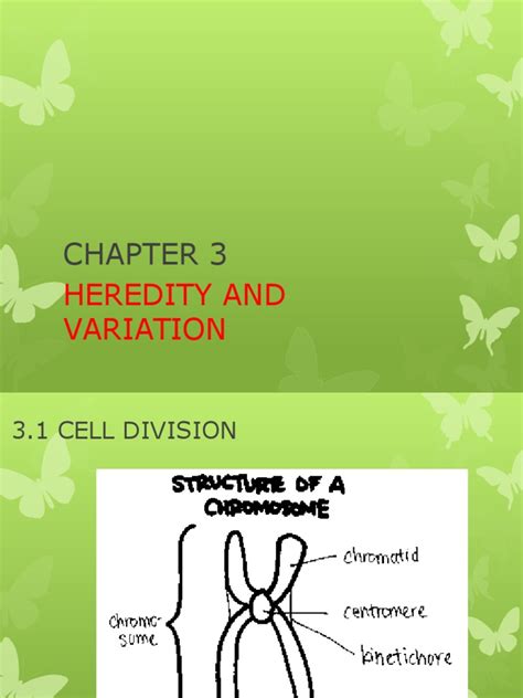 CHAPTER 3 Heredity and Variation | PDF | Reproduction | Twin