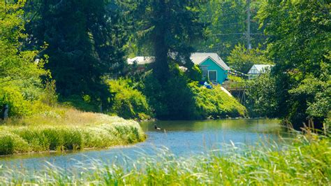 Visita Clallam Bay: scopri il meglio di Clallam Bay, Washington, nel ...