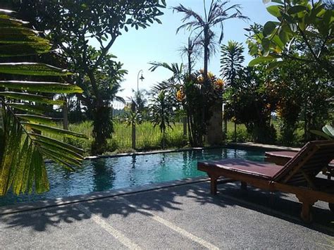 VILLA MANDI UBUD - Updated 2024 Prices & Hotel Reviews (Singakerta ...