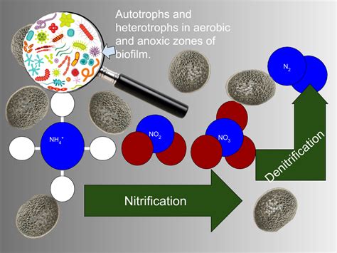 Nitrification & Denitrification - Advanced Wastewater Treatment