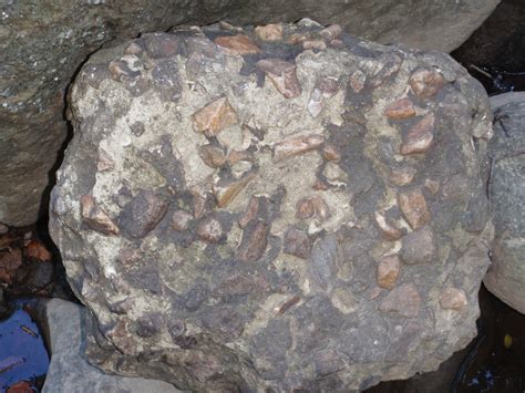 File:Conglomerate Rock.jpg - Wikimedia Commons