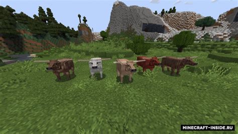 Realistic Animals [1.16.5] / Текстуры для Майнкрафт / Minecraft Inside