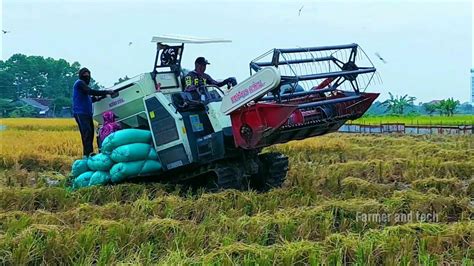 Rice harvester farming machine in wetland | Rice crop harvesting ...