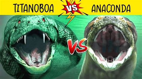 Anaconda vs Titanoboa এর লড়াইয়ে কে জিতবে 😱😱|| Anaconda vs Titanoboa In Bangla || Unknown ...