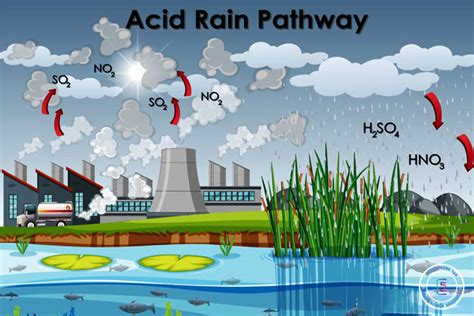 Mưa axit là gì? Nguyên nhân, quá trình hình thành, tại hại và cách khắc phục – Điện tử sáng tạo VN