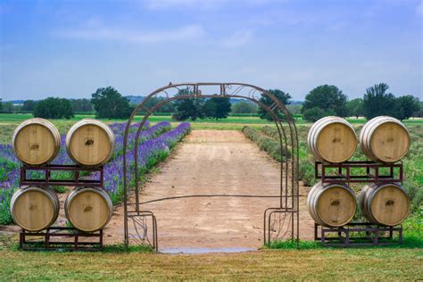 8 of the Best Vineyards in the U.S. | Oyster.com