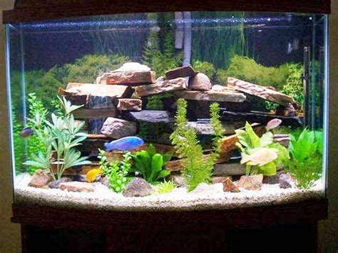 Fish Tank Decoration Ideas for Charming and Refreshing Look | WHomeStudio.com | Magazine Online ...