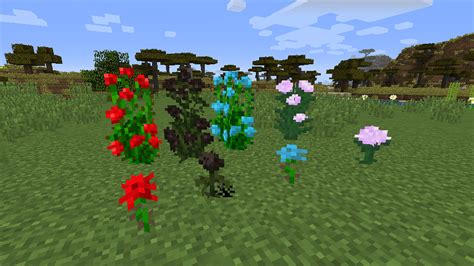 Plants [v1.16.3] Minecraft Mod