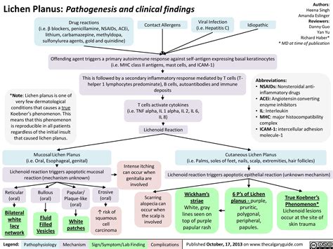 Lichen Planus: Pathogenesis and clinical findings | Calgary Guide