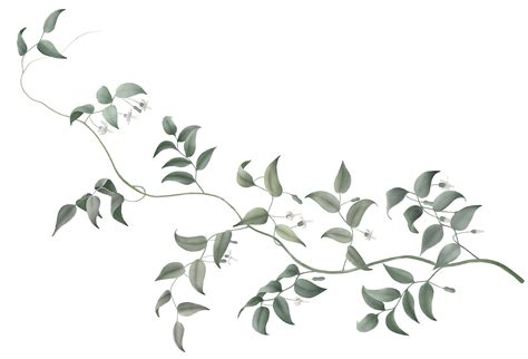 DUMBO Vine Flower Plant stem Tree - vines png download - 1200*817 - Free Transparent Dumbo png ...