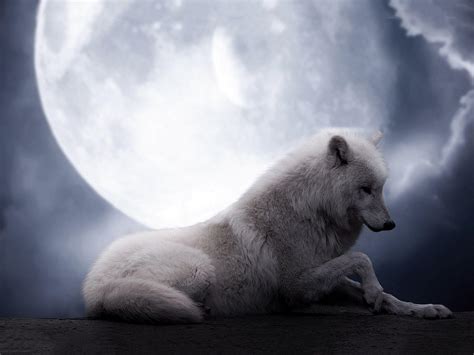 Wolf Howling At The Moon Wallpapers - Wallpaper Cave