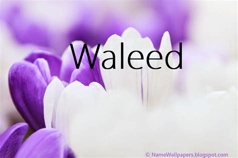 Waleed Name Wallpapers Waleed ~ Name Wallpaper Urdu Name Meaning Name ...