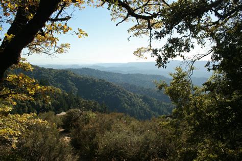 Santa Cruz Mountains by theh on DeviantArt