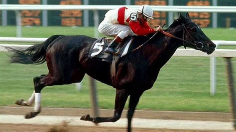 Horse Racing News & Videos | Horses, Ruffian, Horse racing