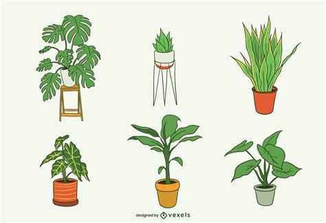 House Plants Illustration Pack Vector Download