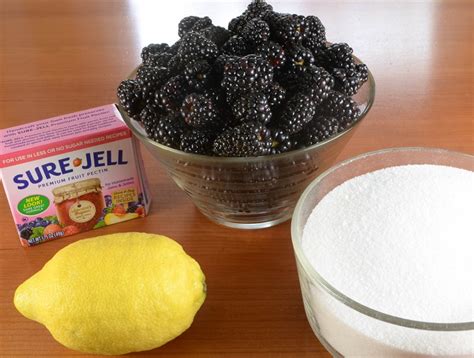 Seedless Blackberry Jelly 1 – SBCanning.com – homemade canning recipes