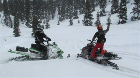 Backcountry snowmobiling's popularity endangering Quebec forestry industry | CBC News