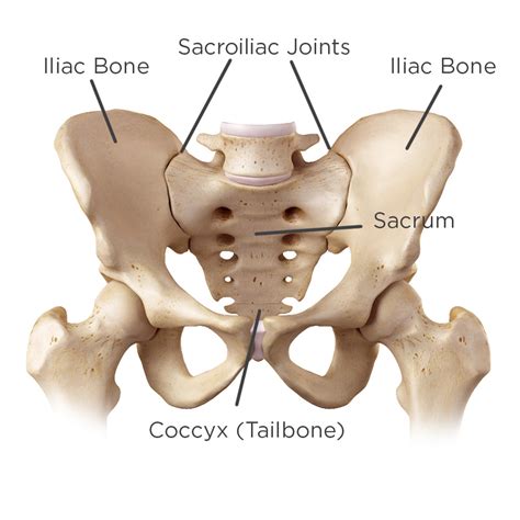 Why Women Are Prone to SI Joint Pain & 7 Proven Ways to Deal