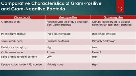 Gram positive vs gram negative bacteria antibiotics - batmanwill