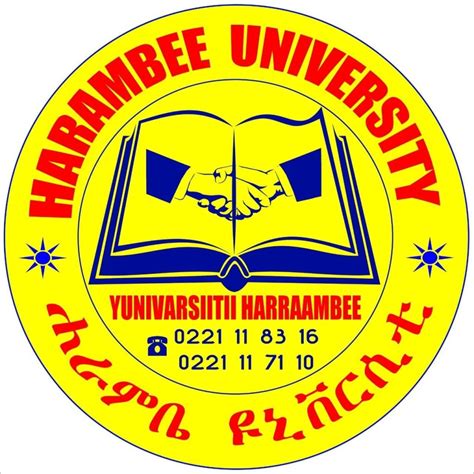 Harambee University Advancing the Ethiopian Online Learning Academy ...