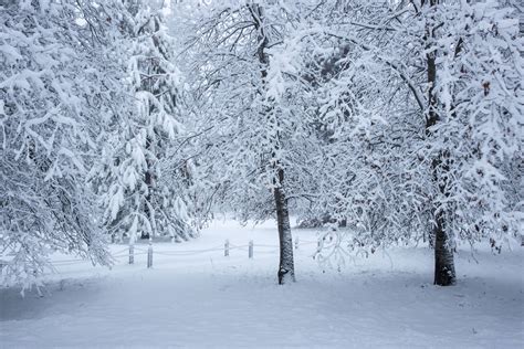 Texas Snowstorm 2022: Rising Temperatures Spike Risk of 'Heart Attack Snow' - Newsweek