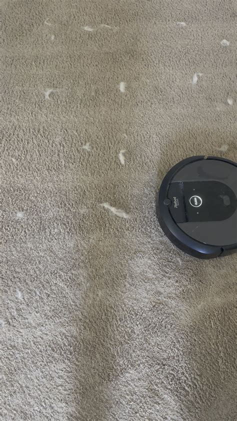 Roomba leaving piles of dog hair behind : r/roomba