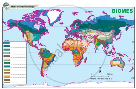 1) Various biome regions have been shown on the map. Considering the ...