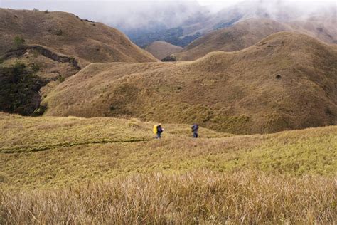 Hiking Mt. Pulag | Get Above the Clouds in 2022