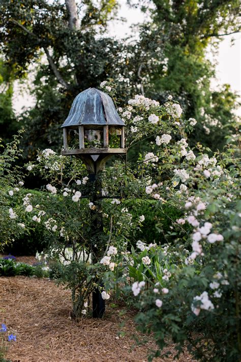 An Intimate Garden Wedding in Charleston, SC | Taylor Rae Photography